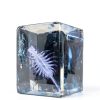 BUBBLE Freeze Dried Brine Shrimp Cubes High Protein Fish-1