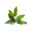 Organic Sage Tea Biokoma Herbal Tea USDA Certified-6