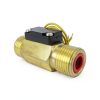 DIGITEN FS-C01 Brass Flow Switch 1/2" BSP Male Thread with Filter-1