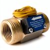 DIGITEN FS-C02 Brass Flow Switch 3/4" BSP Male Thread 1-30L/min 0-220V-2