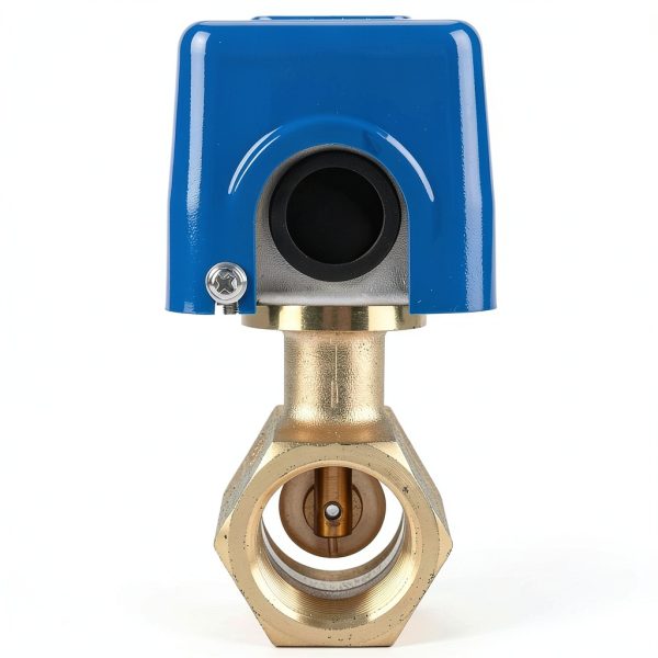 Water Flow Switch Thincol LKB-01D 250V 15A IP54 SPDT for Fire Safety-2