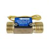 DIGITEN FS-C01 Brass Flow Switch 1/2" BSP Male Thread with Filter-0