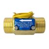 DIGITEN FS-C02 Brass Flow Switch 3/4" BSP Male Thread 1-30L/min 0-220V-0
